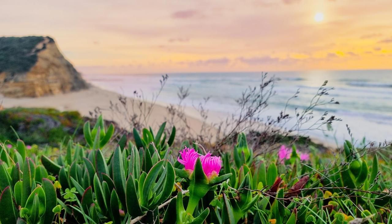 Tika Surf Camp Ericeira Hotel Carvoeira ภายนอก รูปภาพ